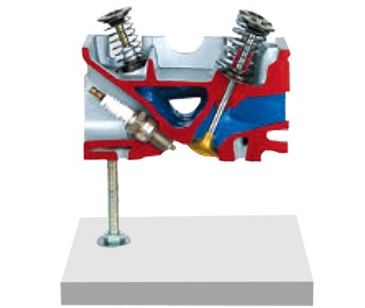 氣缸蓋解剖模型