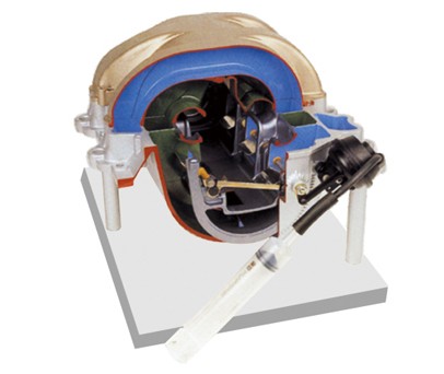 感應(yīng)開關(guān)系統(tǒng)解剖模型