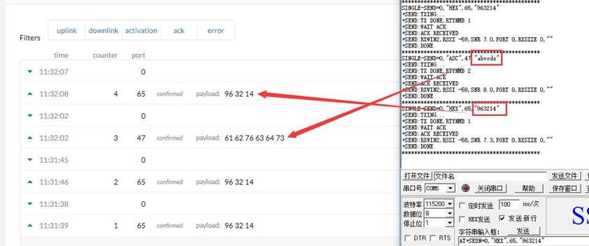 lorawan���������� NS