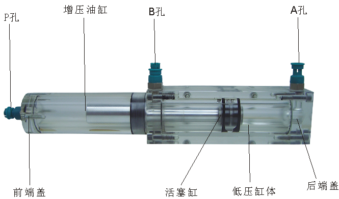 �����͸�